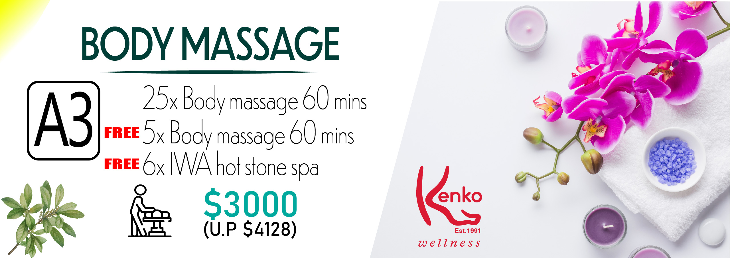 body massage premium kenko
